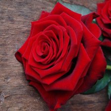 Схема вышивки «Роза»