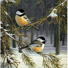 Схема вышивки «№145479»