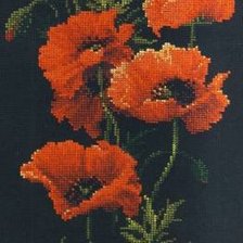 Схема вышивки «маки»