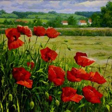 Схема вышивки «маки»