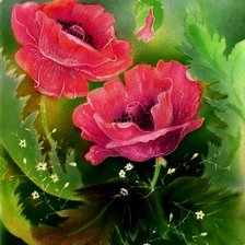 Схема вышивки «маки»