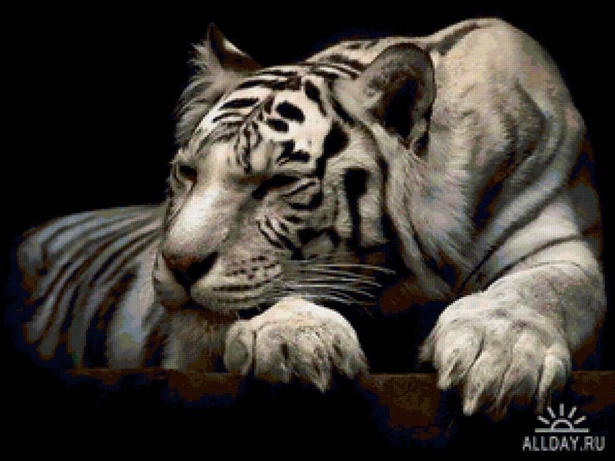 Белый тигр - животные, кошки, тигр - предпросмотр