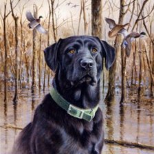 Схема вышивки «на охоте»