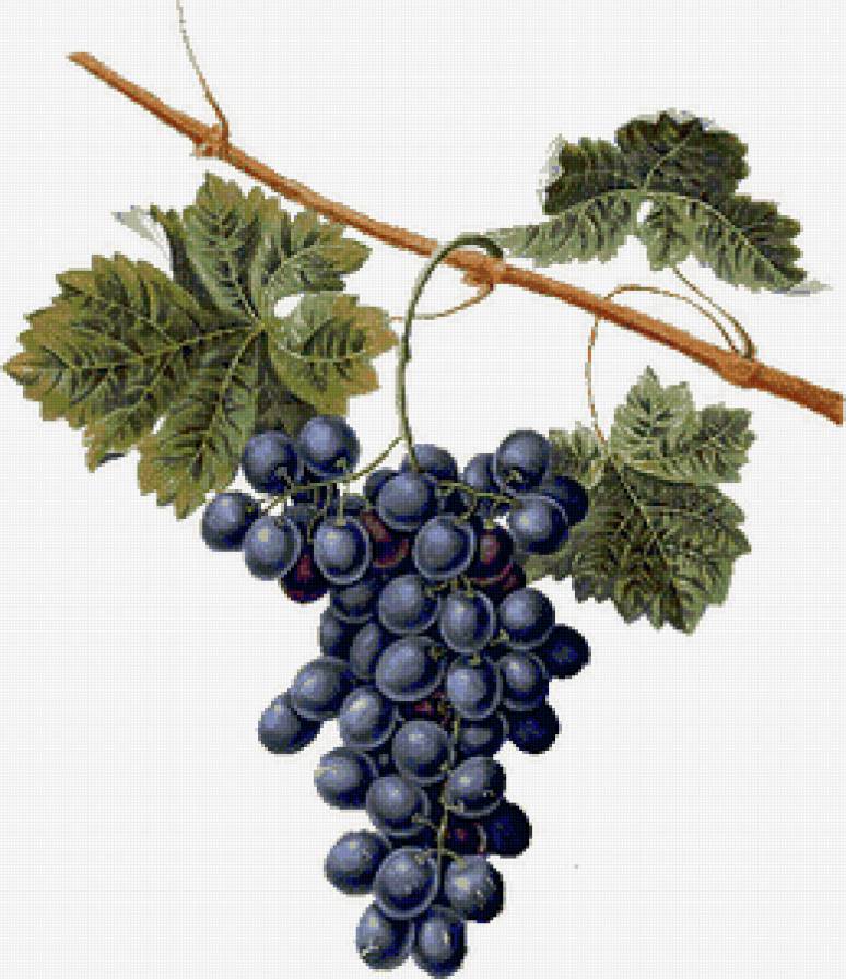 №145777 - предпросмотр