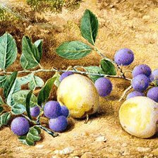 Схема вышивки «№145853»