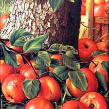 Схема вышивки «№145865»