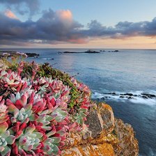 Схема вышивки «Цветы на скале»