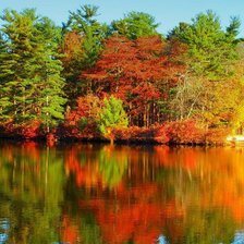 Схема вышивки «отражение»