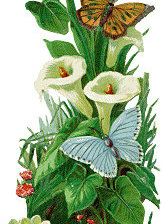 Схема вышивки «№145988»