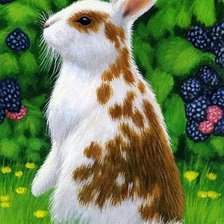 Схема вышивки «№146472»