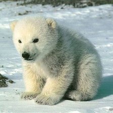 Схема вышивки «медвежонок»