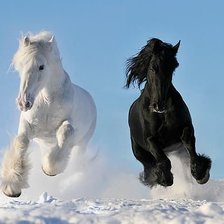 Схема вышивки «№146534»