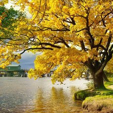 Схема вышивки «осенний пейзаж»