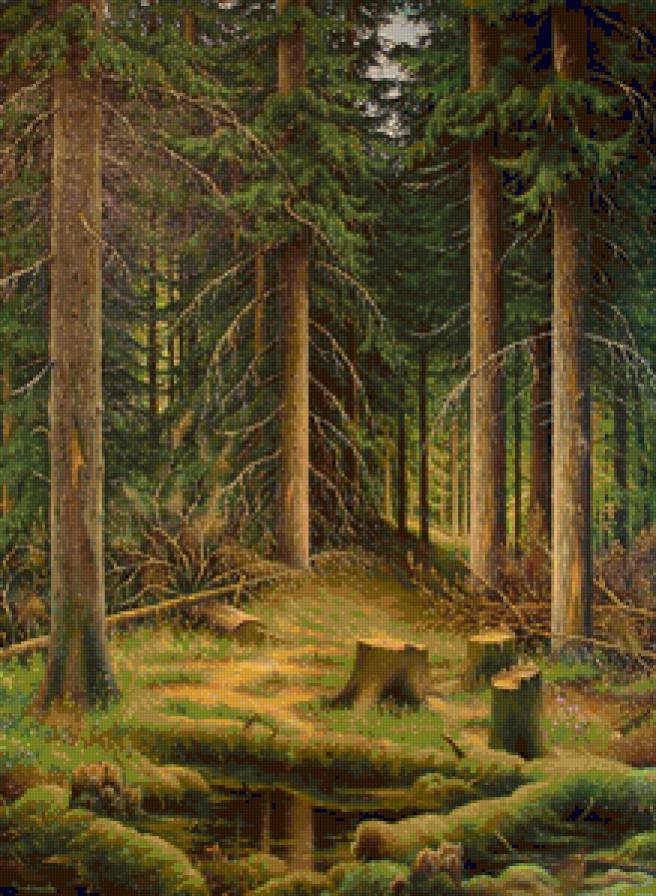 сказочный лес - пейзаж, природа, лес - предпросмотр