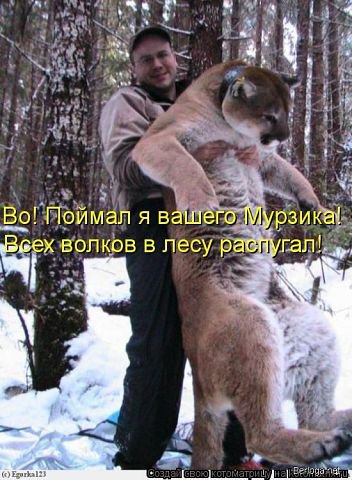 мурзик - оригинал