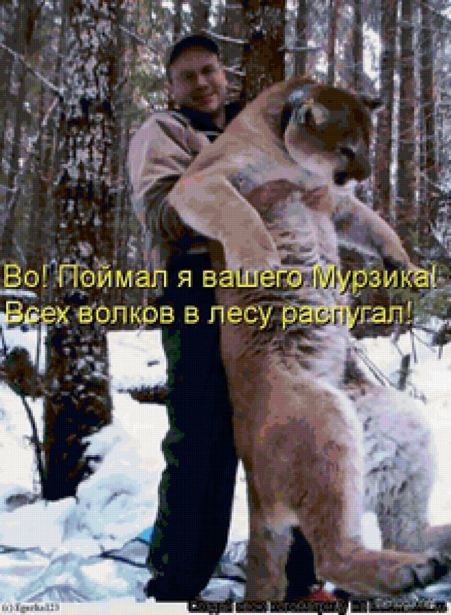 мурзик - предпросмотр