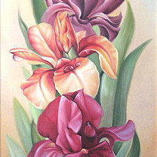 Схема вышивки «ирисы-фэнтези л.ч»