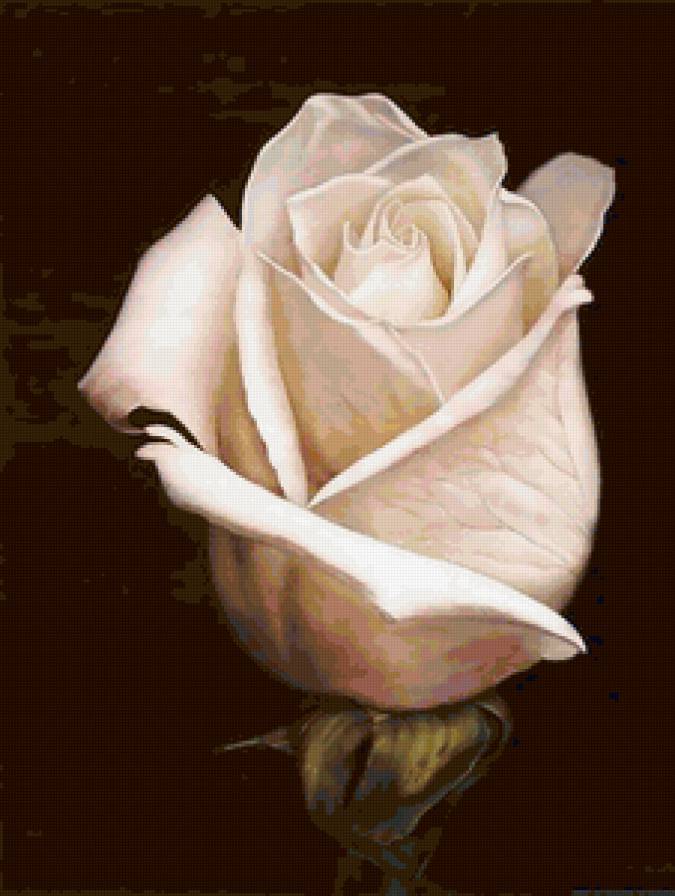 Нежность - декор, цветы, живопись - предпросмотр