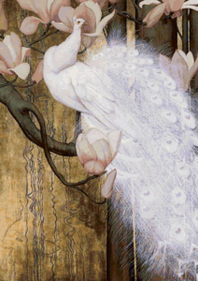 birds - предпросмотр