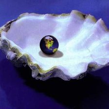 Схема вышивки «pearl»