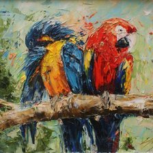 Схема вышивки «Попугаи»