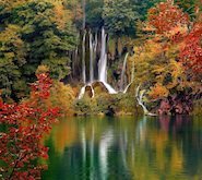 Схема вышивки «осень»