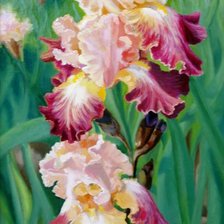 Схема вышивки «Цветы»