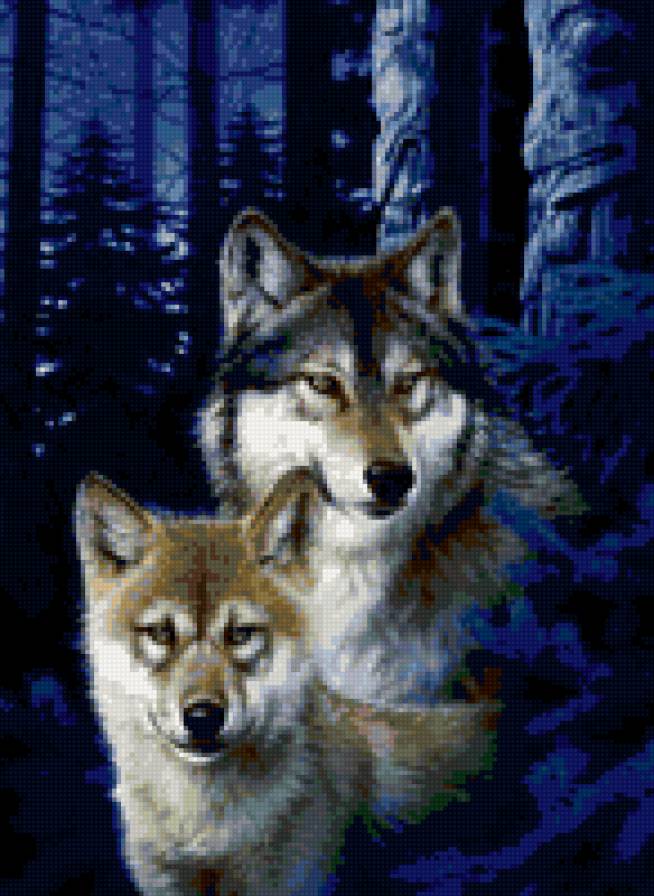 пара волков - пара волков - предпросмотр