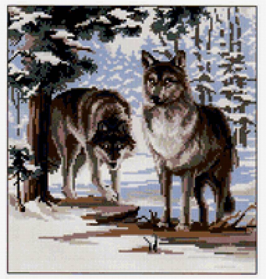 пара волковзимний  лес - пара волковзимний лес - предпросмотр