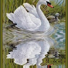 Схема вышивки «ЛЕБЕДЬ»