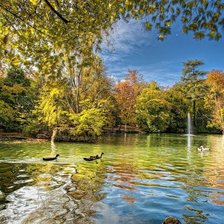 Схема вышивки «ПРУД»