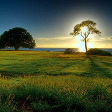 Схема вышивки «№147544»