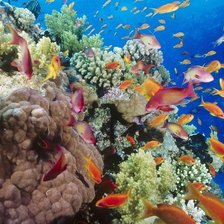 Схема вышивки «ПОДВОДНЫЙ МИР»