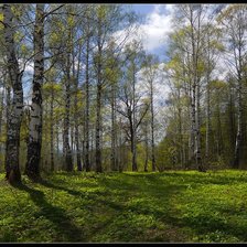 Схема вышивки «ВЕСНА»