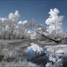 Схема вышивки «ЗИМА»