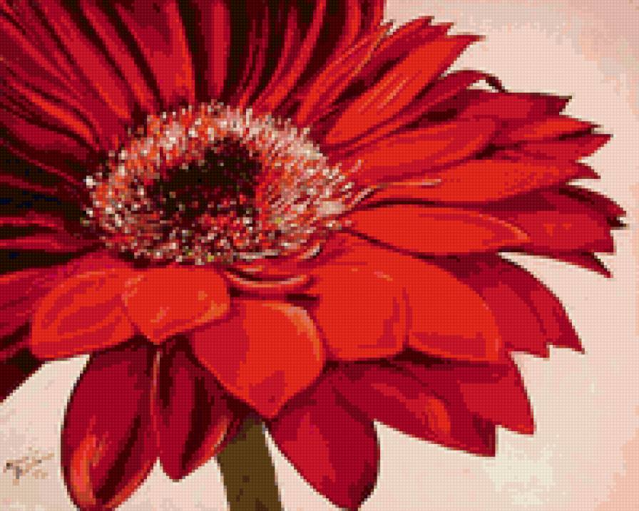 цветок - природа, картина, цветы, растения - предпросмотр