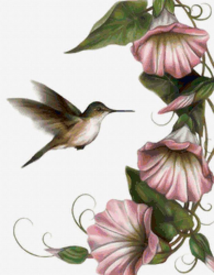 birds - предпросмотр