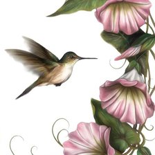 Схема вышивки «birds»