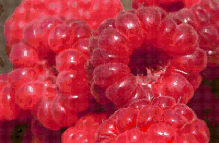 Малина - лето, малина, ягода - предпросмотр