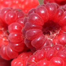 Схема вышивки «Малина»