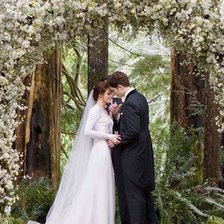 Схема вышивки «Свадьба Беллы и Эдварда»