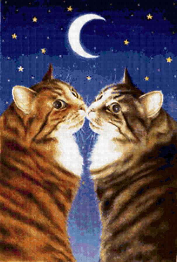 Свидание - кошка, кот, животные - предпросмотр