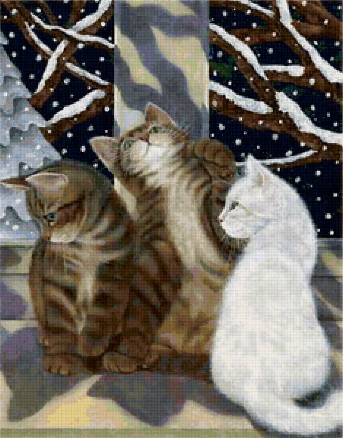 Трио - окно, кошка, животные, кот - предпросмотр