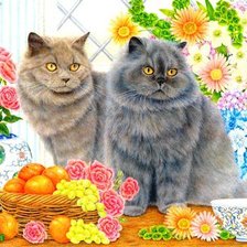 Схема вышивки «Серики»