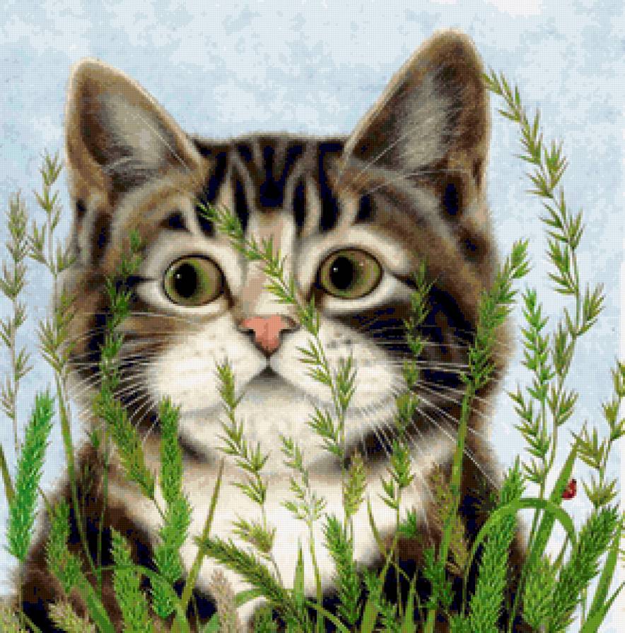 В засаде - кот, животные, кошка - предпросмотр