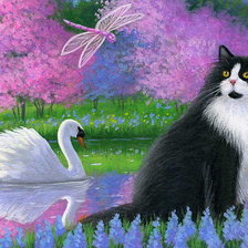 Кот и лебедь
