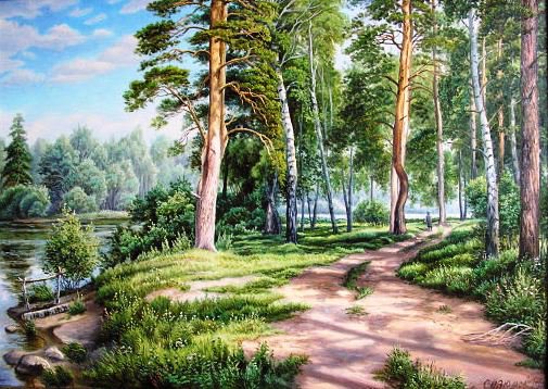 Лесные тропинки - лес, лето, тропинки, красота природы, пейзаж, березки - оригинал