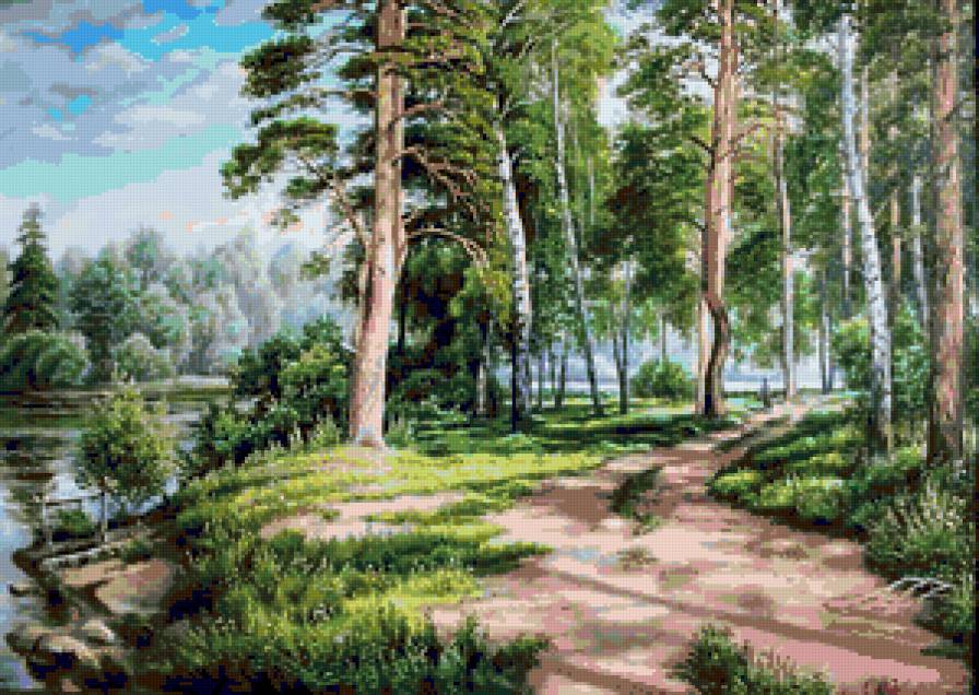 Лесные тропинки - пейзаж, березки, лето, тропинки, лес, красота природы - предпросмотр