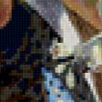 Предпросмотр схемы вышивки «birds» (№148468)