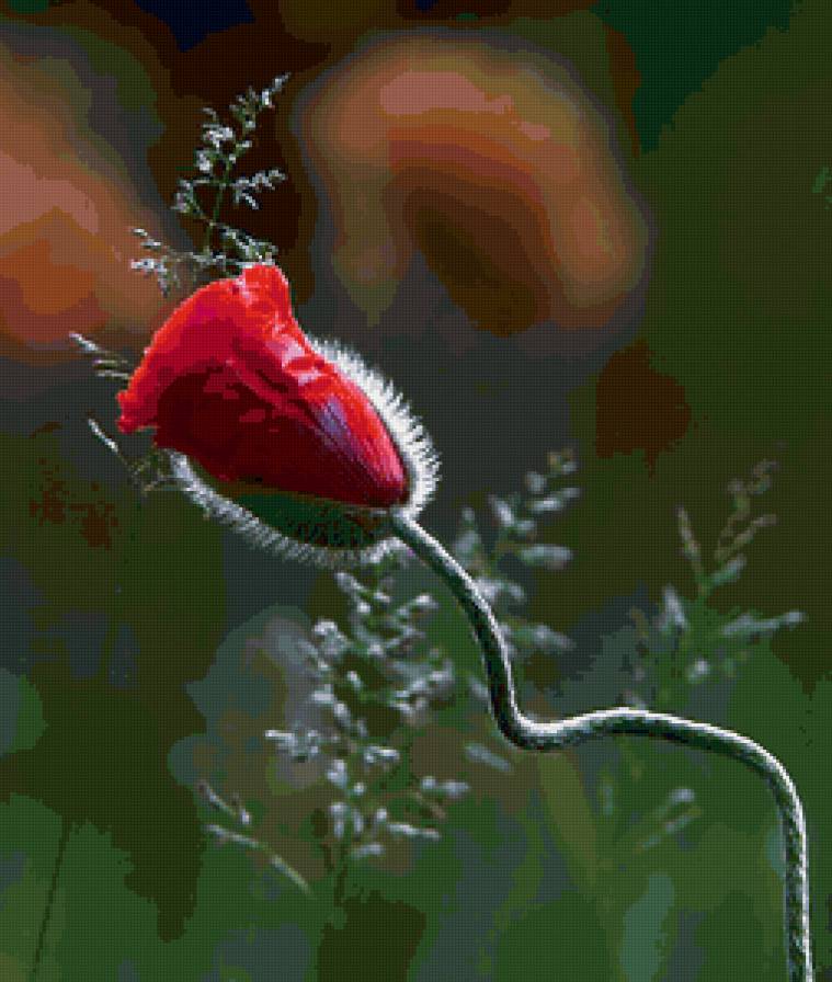 flower - предпросмотр